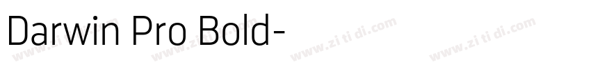 Darwin Pro Bold字体转换